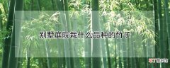 【竹子】别墅庭院栽什么品种的竹子