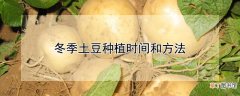 【土豆】冬季土豆种植时间和方法