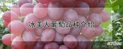 【品种】冰美人葡萄品种介绍