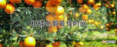 【花卉大全】柑橘冬剪最佳时间
