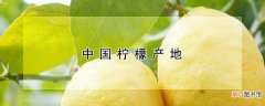 【产地】中国柠檬产地