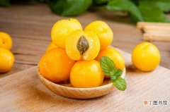 新疆小白杏和蜜糖小红杏相继上市，多平台夏日销售持续增长