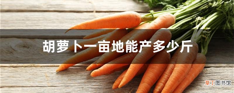 【萝卜】胡萝卜一亩地能产多少斤