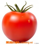 【番茄】秋季种植番茄注意点