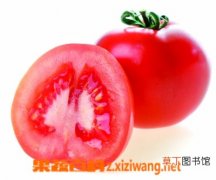 【种子】怎么种番茄？番茄种子如何种植