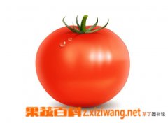 【番茄】吃番茄的益处 吃番茄有哪些好处