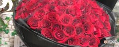 【玫瑰】33朵红玫瑰的花语