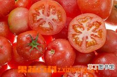 【番茄】吃番茄好处 西红柿如何选择