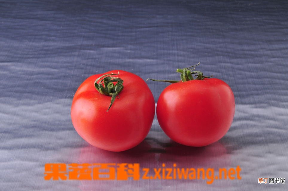 【吃】多吃番茄可防脑血栓