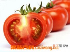 【作用】番茄的食疗作用