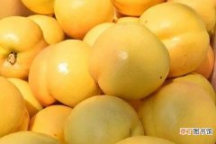 【区别】黄金油桃和黄桃的区别是什么 如何辨别这两种水果