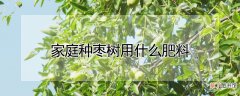 【枣树】家庭种枣树用哪种肥料