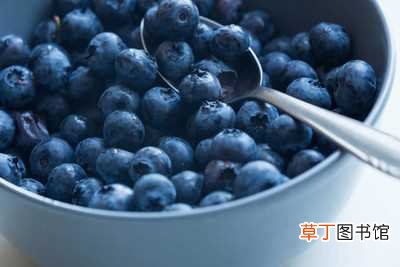 【成熟】蓝莓什么时候成熟，什么时候上市