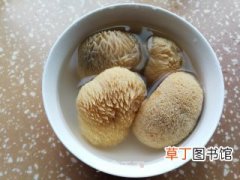 滋补汤水，海参菌菇炖鸡汤