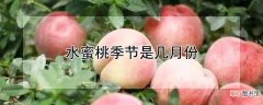 【季节】水蜜桃季节是什么时候