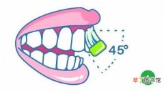 国际公认最有效的刷牙方法—巴氏刷牙法