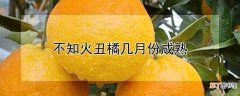 【成熟】不知火丑橘成熟时间