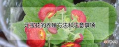 【养殖】元宝花的养殖方法和注意事项