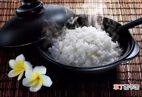 为什么不吃米饭，体重会下降得特别快？看看吧