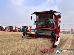 诸城小麦样板田亩产810公斤 创今年潍坊小麦单产最高纪录