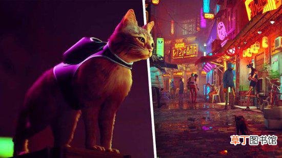 猫咪冒险游戏《流浪》steam愿望清单排行榜第一