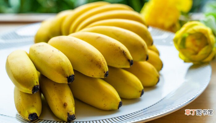【香蕉】芭蕉和香蕉的区别是什么