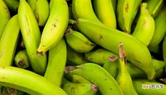 【香蕉】芭蕉和香蕉的区别是什么