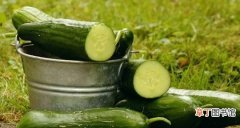 黄瓜称为“平民蔬菜”，但有4大禁忌要注意，尤其是第二种！