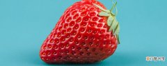 【品种】草莓品种有哪些