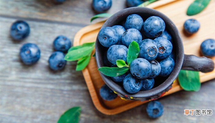 【种植】蓝莓种植需要什么条件