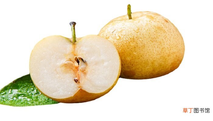 【生长】苹果的生长过程