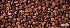 【树】咖啡豆是什么树的果实