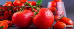【开花】西红柿开花结果期怎么施肥和管理