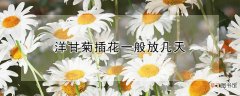 【花】洋甘菊插花一般放几天