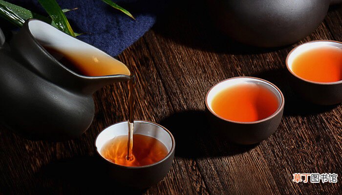 【茶】大红袍属于哪类茶