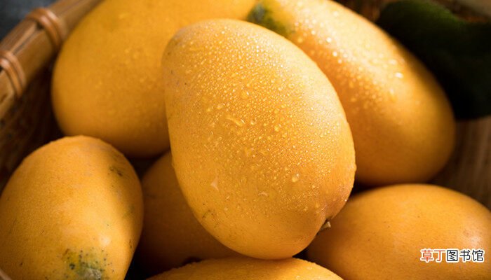 【吃】芒果怎么切方便吃