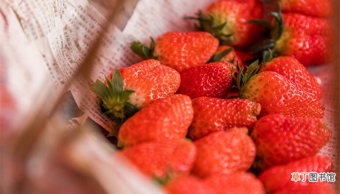 【植物】草莓为什么是被子植物