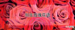 【玫瑰花】30支玫瑰花语
