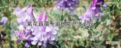 【花】紫花苜蓿一亩地能产多少斤