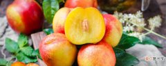 【品种】桃子的品种有哪些