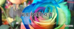 【花】彩虹玫瑰的花语