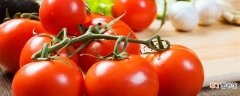 【种植方法】番茄种植方法
