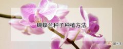 【种子】蝴蝶兰种子种植方法