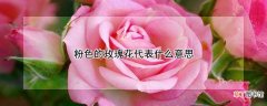 【玫瑰花】粉色的玫瑰花代表什么意思