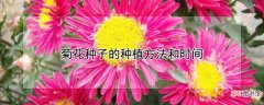 【花】菊花种子的种植方法和时间