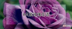【玫瑰】8只紫玫瑰花语