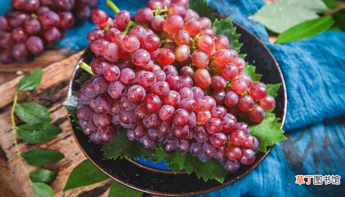【葡萄】什么品种葡萄适合盆栽