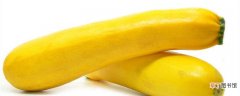 【种植】香蕉西葫芦种植季节