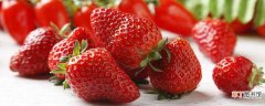 【冬天】草莓冬天能耐多少度的低温