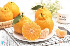 丑橘为什么叫不知火？丑橘和耙耙柑的区别，简单辨别